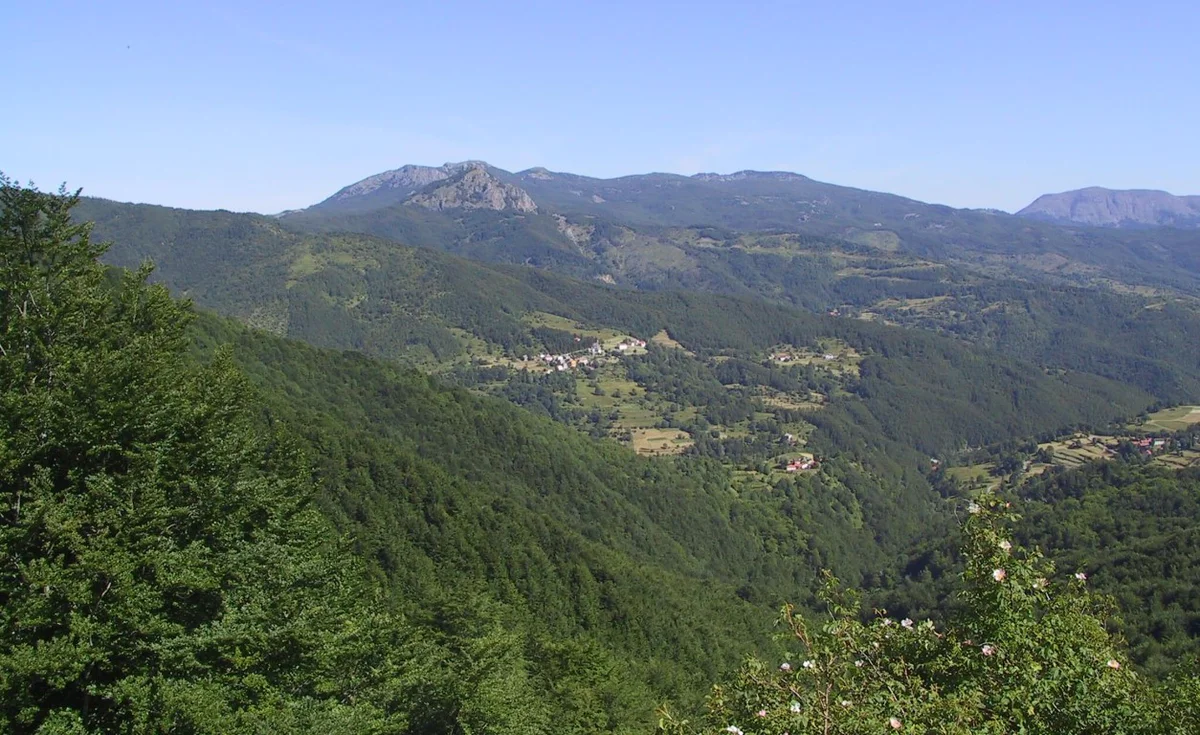 GFS con CPR_Bedonia.jpg